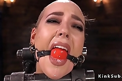 Trimmed head slave rides Sybian in bdsm